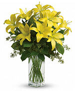 Teleflora's Lily Sunshine